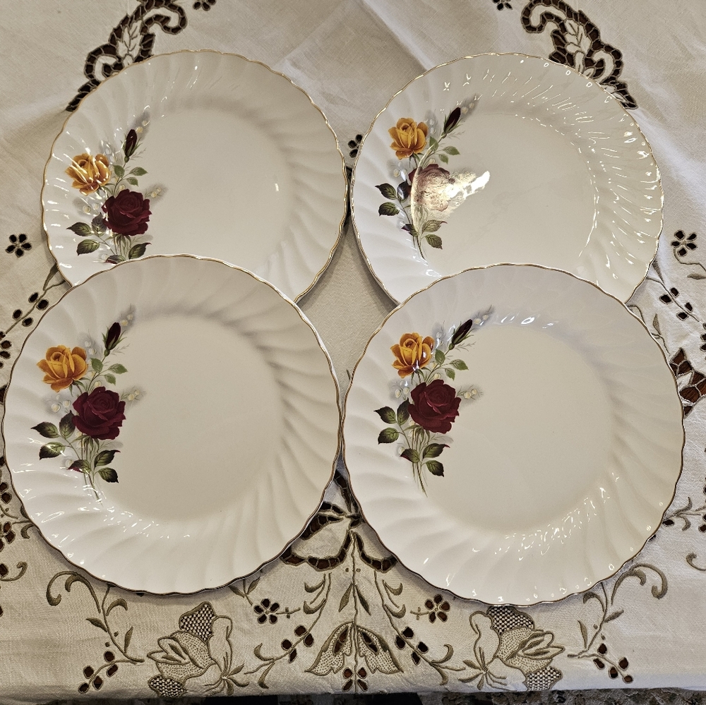 Gorgeous Set of 4 dinner plates by Myott.